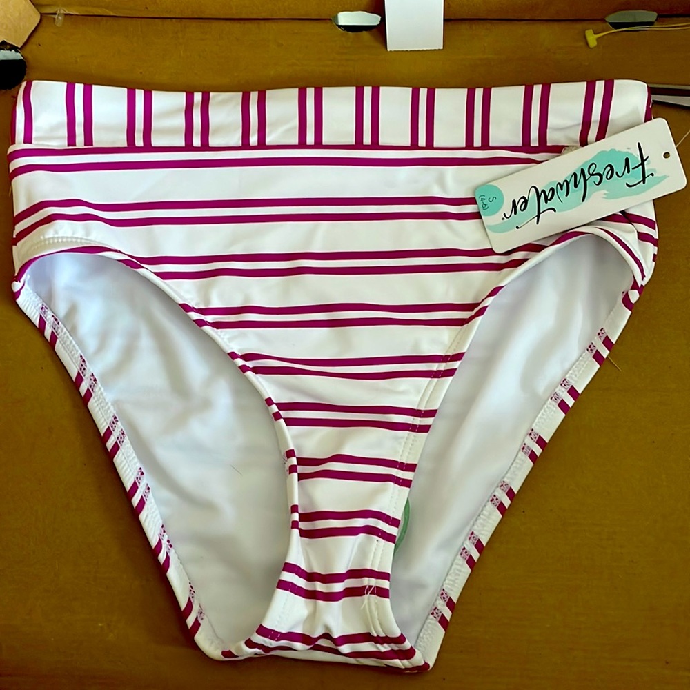 NWT plum striped bikini bottom